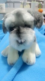 Snapchat-6418397882193454204